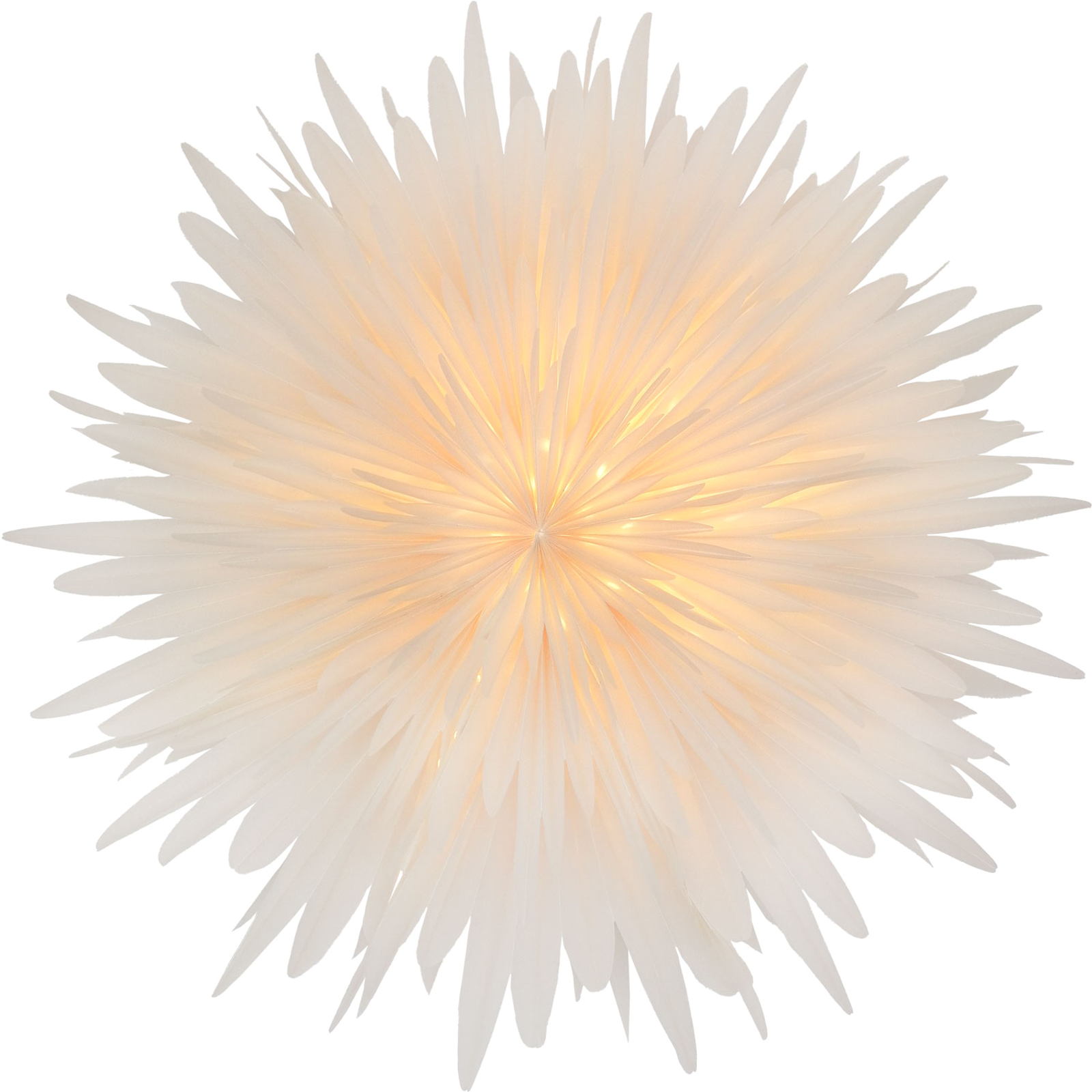 Bild von Stella Lightz Dalia