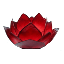 Zeige Details für Lotus-Licht Abendsonne coralpink Bild von Lotus-Licht Abendsonne coralpink