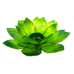 Zeige Details für Lotus-Licht Sommersonne grasgrün Bild von Lotus-Licht Sommersonne grasgrün