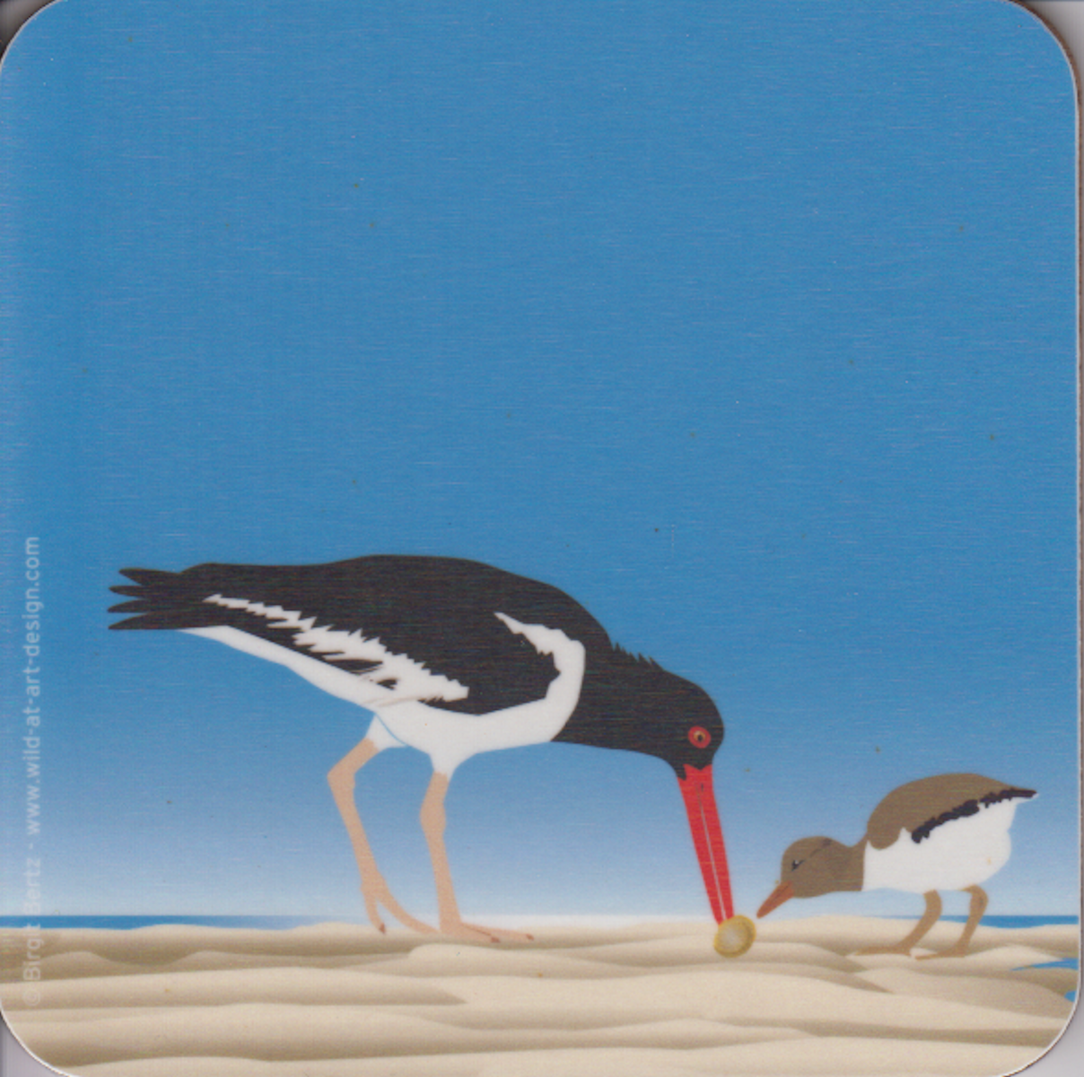 Bild von Wild at Art Coaster - Austernfischer Untersetzter