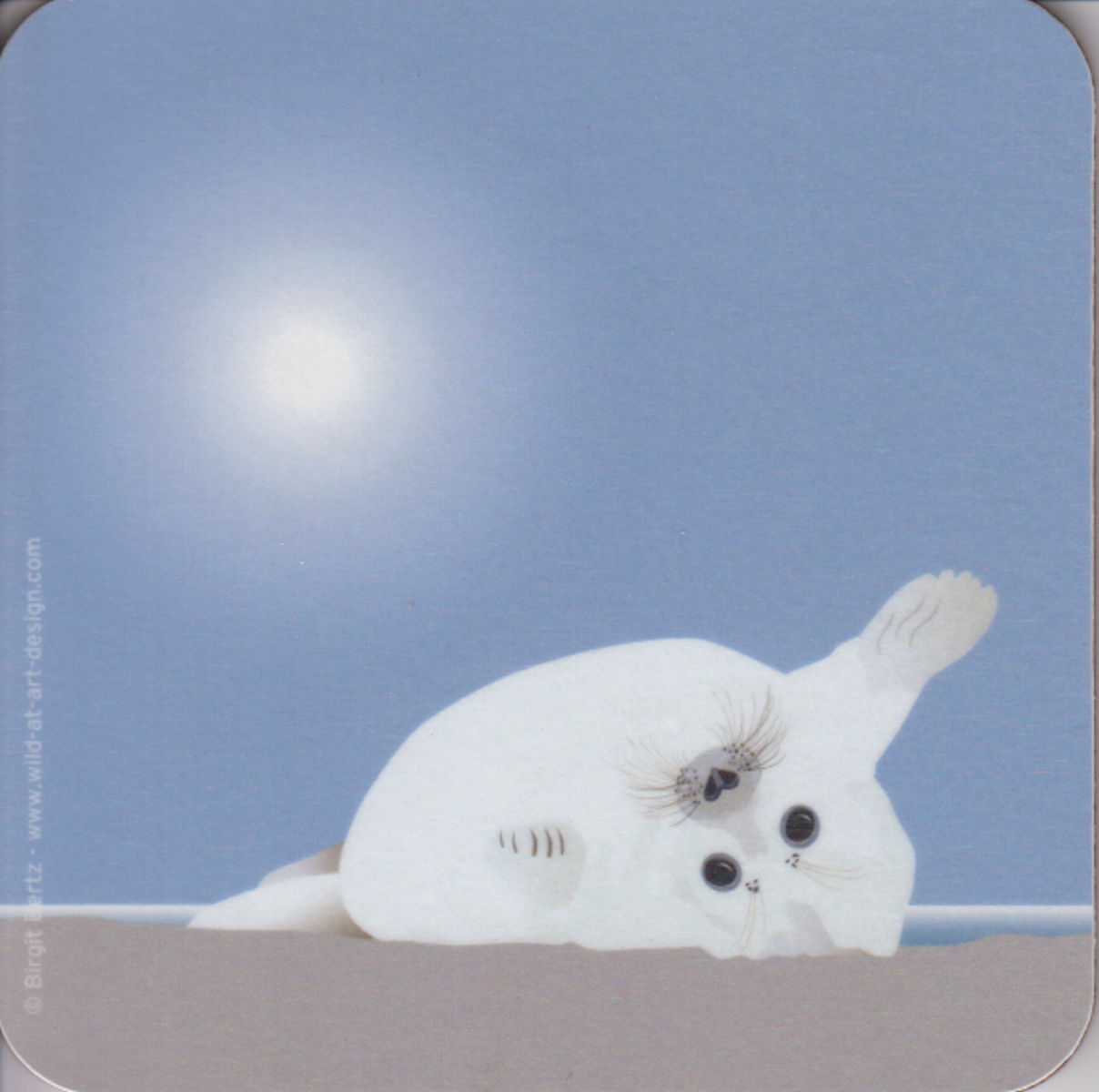 Bild von Wild at Art Coaster - Kegelrobben-Baby Untersetzter